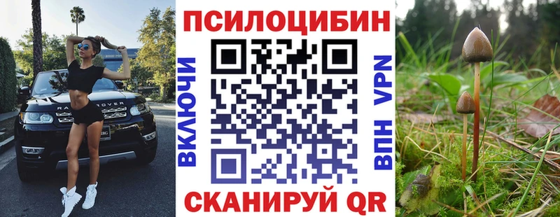 Галлюциногенные грибы прущие грибы  Купить  Плавск 