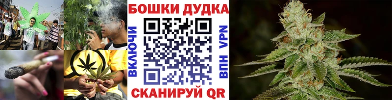 Купить где  Плавск  Канабис индика 